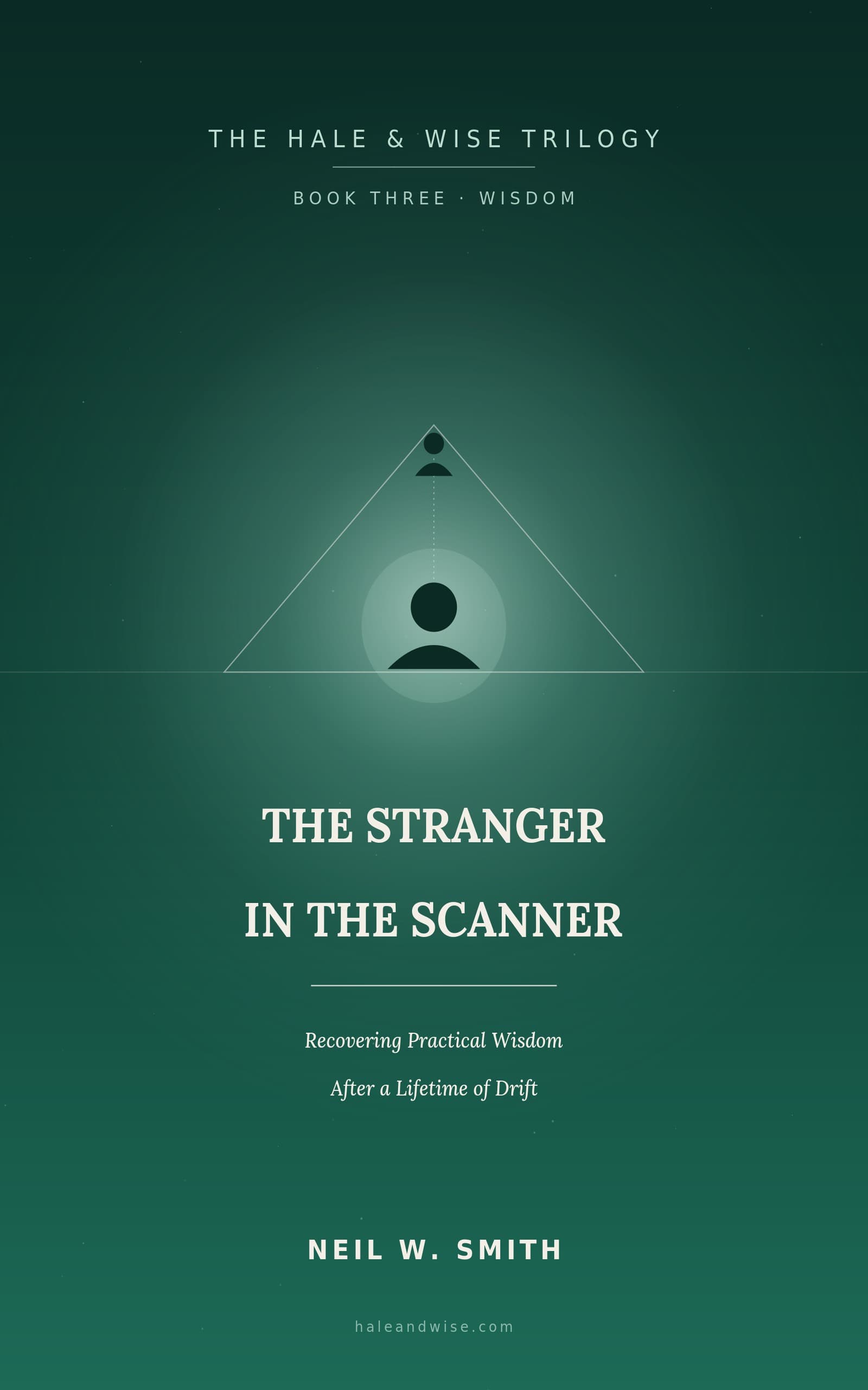 The Stranger in the Scanner cover